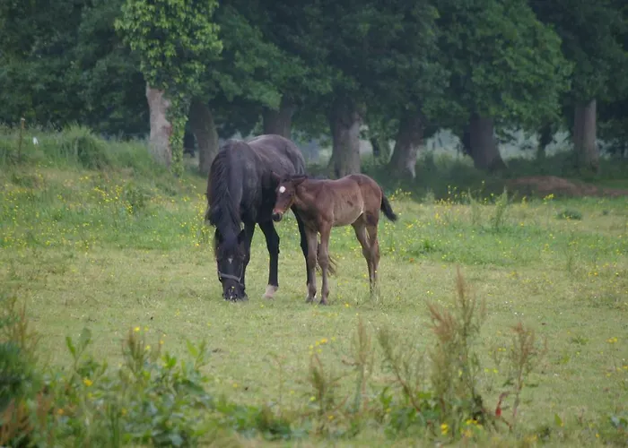 بيت للعطل Christian Mont St Michel