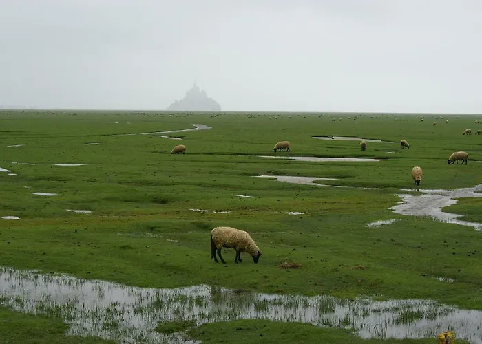 بيت للعطل Christian Mont St Michel